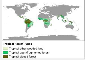 Y a-t-il du printemps dans les zones tropicales ?